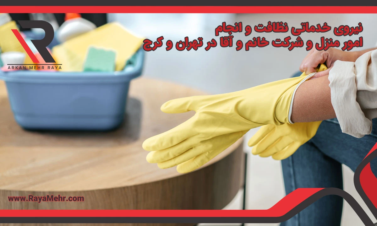 نیروی خدماتی نظافت منزل